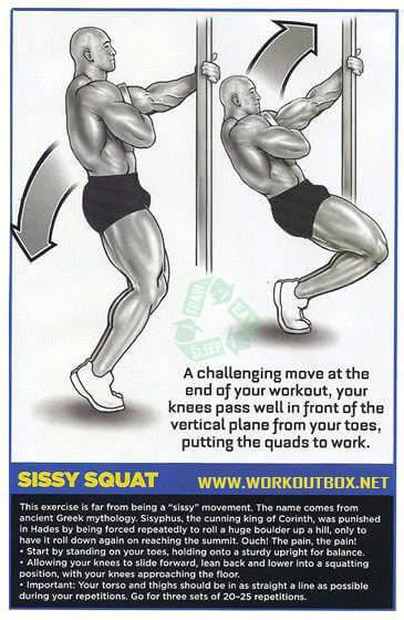 Sissy Squat - Leg Butt Workouts Healthy Fitness Body Plan Calves