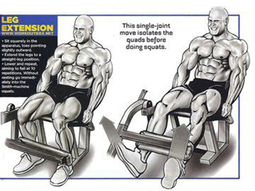 Leg Extension - Calves Butt Workouts Healthy Fitness Body Plan