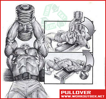 Pullover - Chest And Abs Workout Healthy Fitness Training Plan