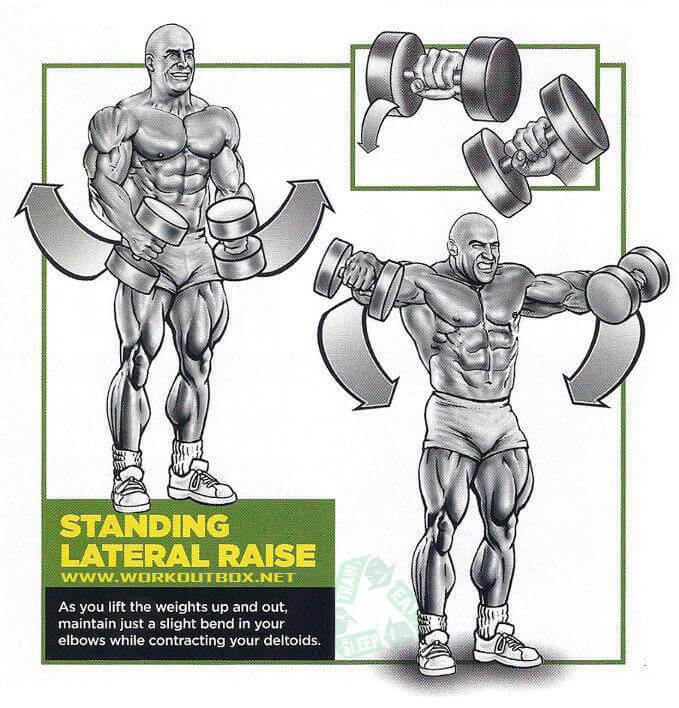 Standing Lateral Raise - Healthy Shoulder Workout Training Plan