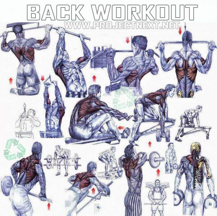 Back Workout Plan - Healthy Fitness Workout Plan Training Routin