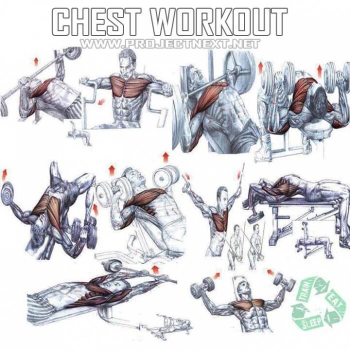 Chest Workout Plan - Healthy Fitness Core Arm Training Routine