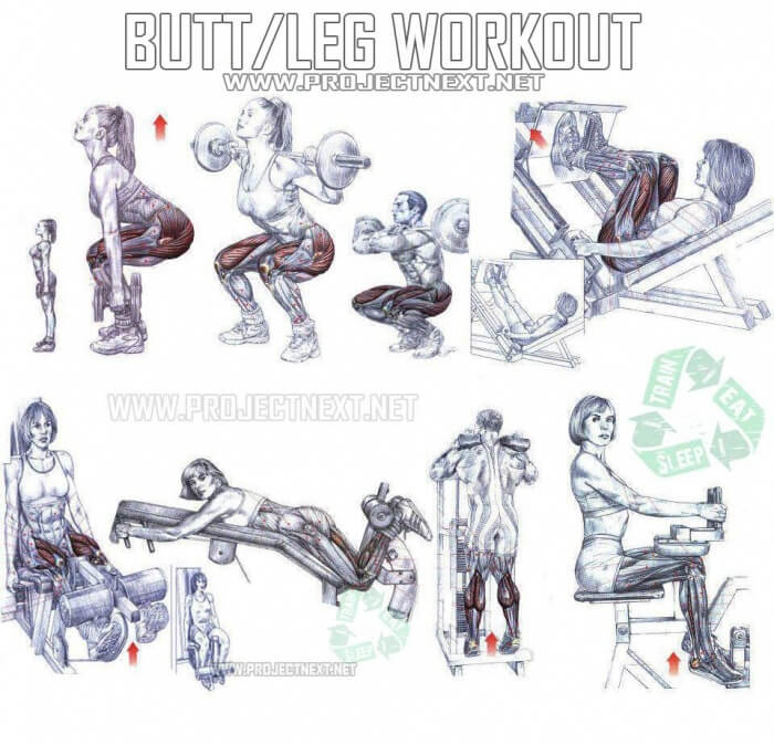 Butt Leg Workout Plan - Healthy Fitness Exercies Training Routin