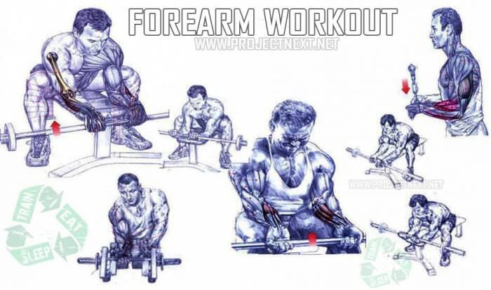 Forearm Workout Plan - Healthy Fitness Training Routine Biceps