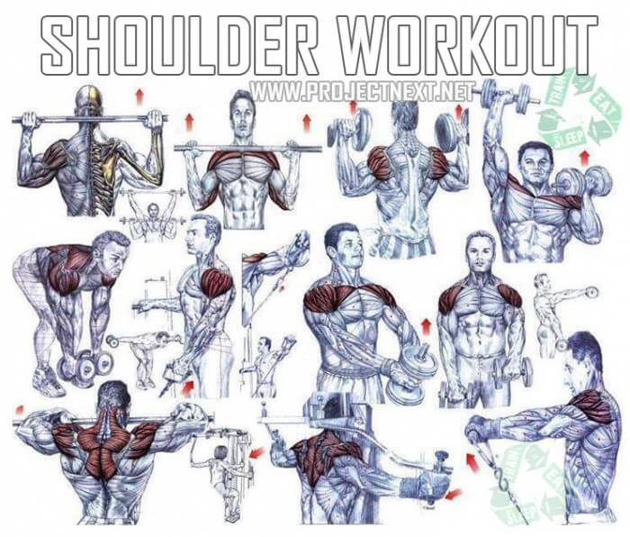 Shoulders Workout Plan - Healthy Fitness Training Routine Back 