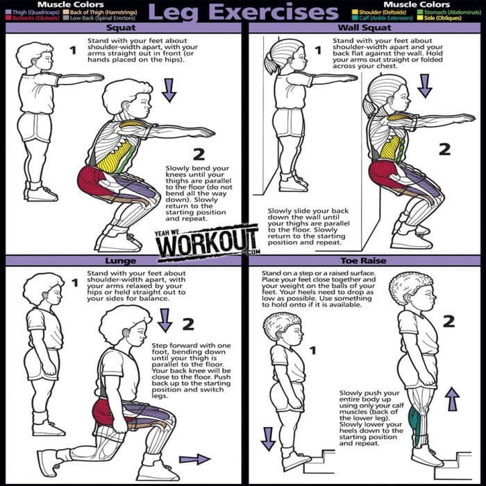 Leg Exercises - Healthy Butt Workout Plan Legs Core Fitness Gym