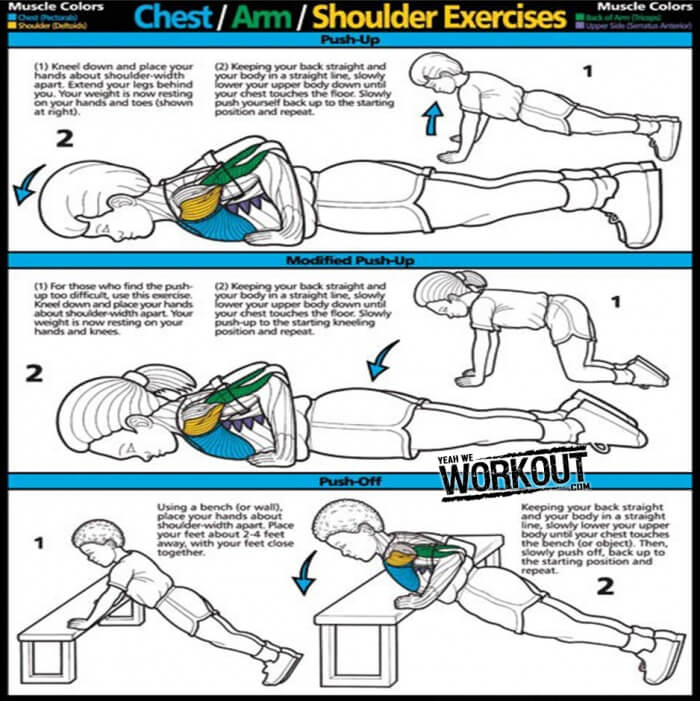 Chest Arm Shoulder Exercises - Fitness Training Routine Plan Abs