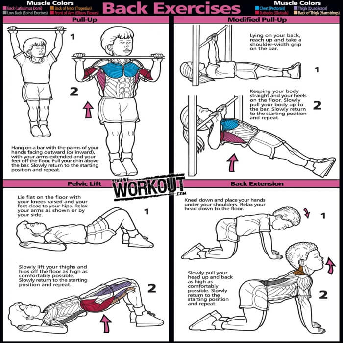 Back Exercises - Fitness Training Routine Arms Schoulder Plan Ab