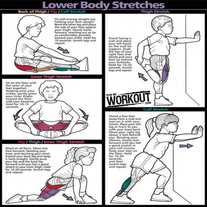 Lower Body Stretches - Healthy Fitness Tips Workout Routines Abs