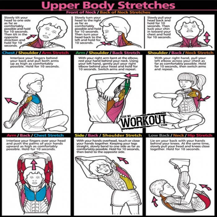 Upper Body Stretches - Healthy Fitness Tips Workout Routines Abs