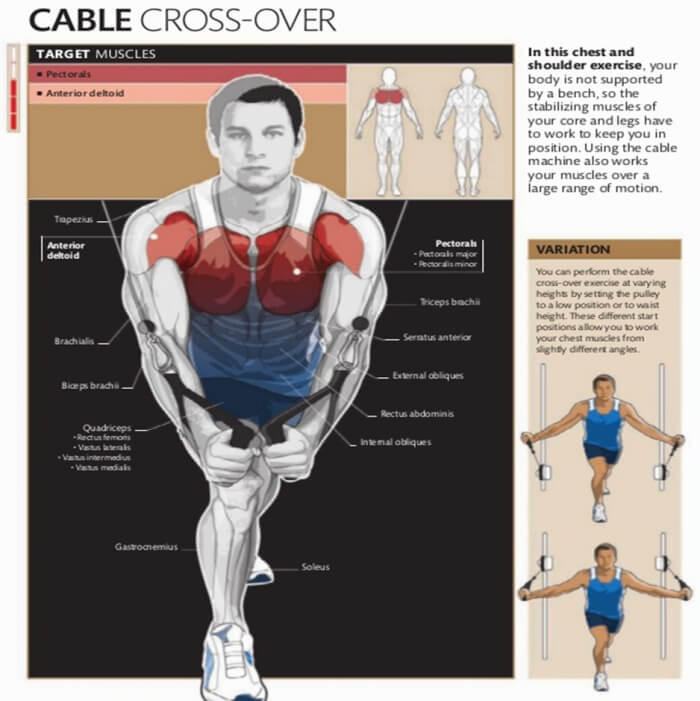 Cable Cross-Over- Healthy Fitness Chest Workout Plan Routine Abs