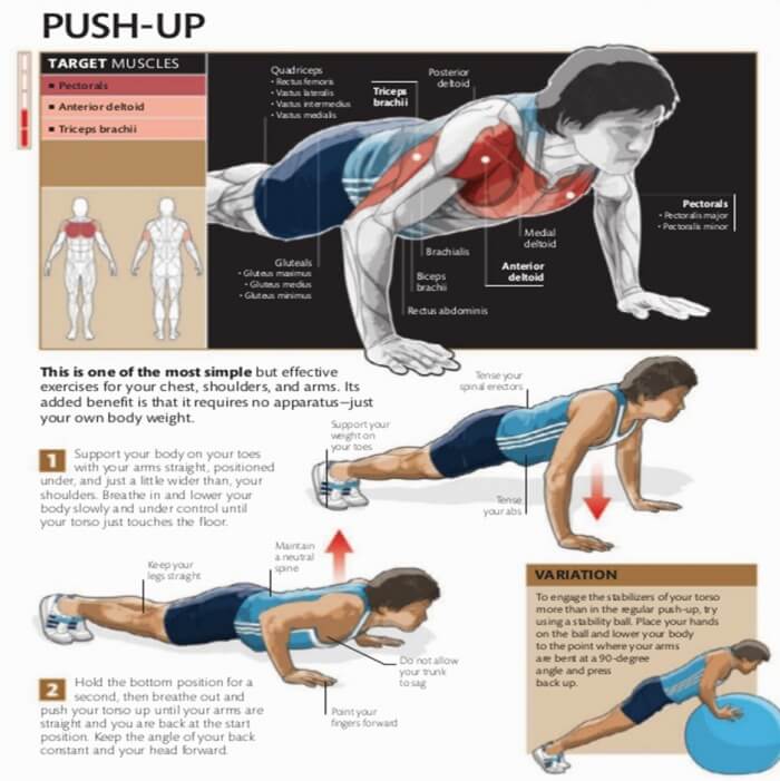 Push-Up Exercise - Healthy Fitness Chest Workout Plan Routine Ab