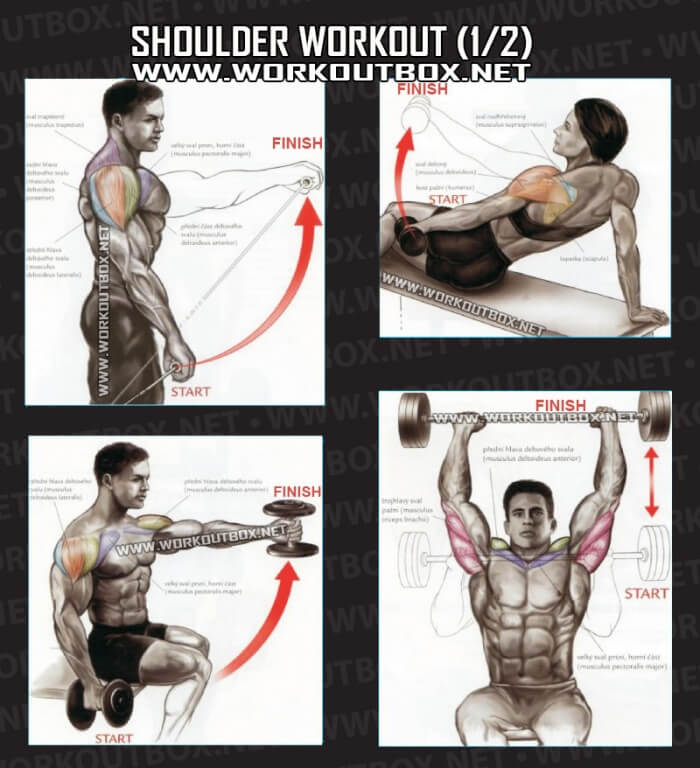 Shoulder Workout Part 1 - Healthy Fitness Training Routine Back