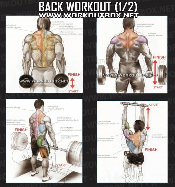 Back Workout Part 1 - Healthy Fitness Training Routine Neck Low