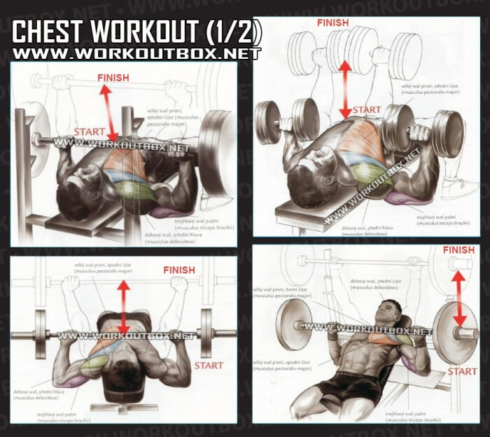 Chest Workout Part 1 - Healthy Fitness Training Routine Arms Abs