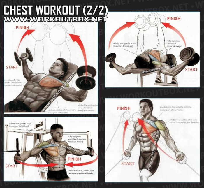 Chest Workout Part 2 - Healthy Fitness Training Routine Arms Abs