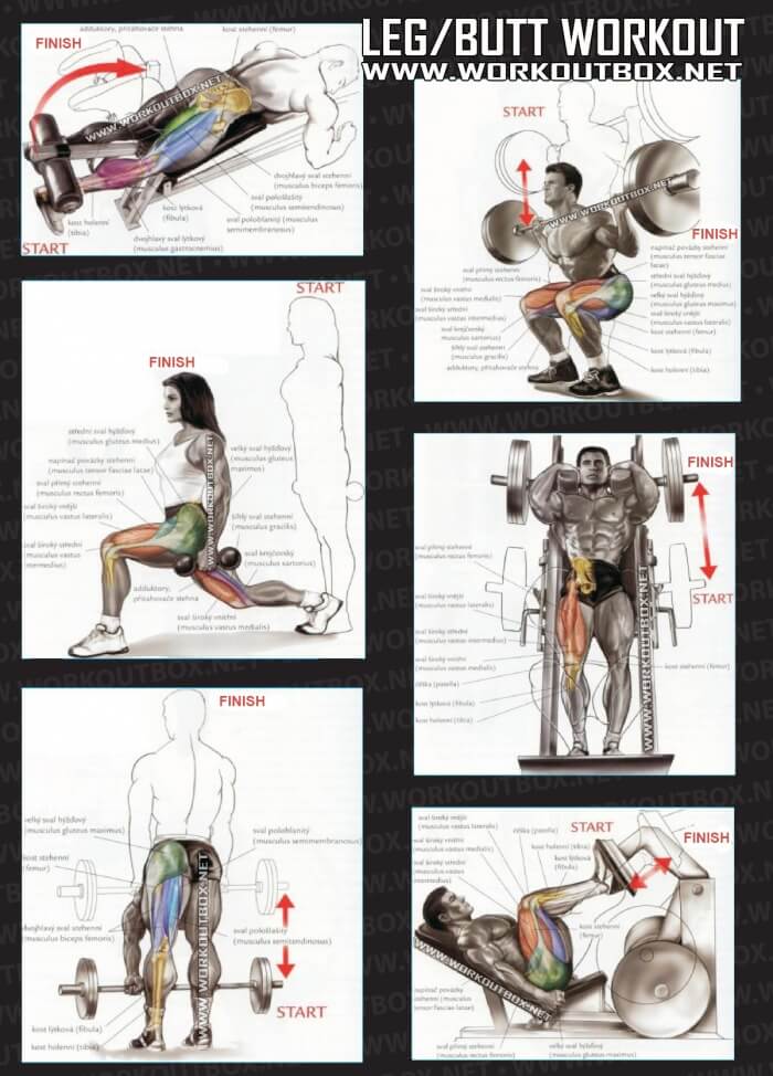 Leg Butt Workout - Healthy Fitness Training Routine Sixpack Core
