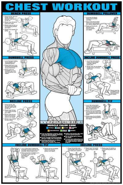 Chest Workout Chart - Healthy Fitness Training Routine Exercises