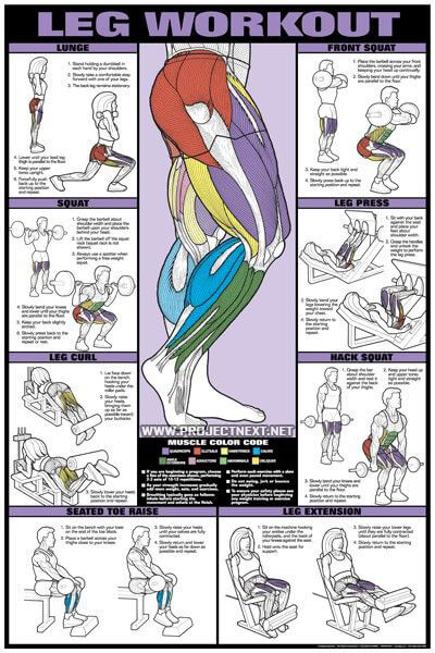 Leg Workout Chart - Healthy Fitness Training Exercises Butt Legs