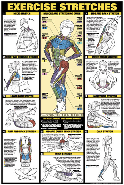 Exercise Stretches Chart - Healthy Fitness Workout Body Neck Arm