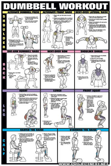 Dumbbell Workout Chart 1 - Healthy Fitness Workout Body Shoulder