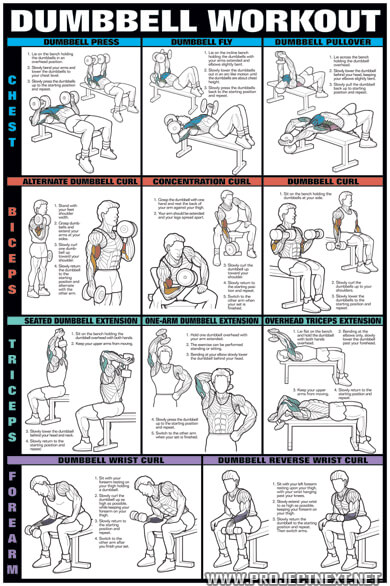 Dumbbell Workout Chart 2 - Healthy Fitness Workout Body Chest Ab