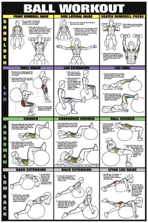 Ball Workout Chart 1 - Healthy Fitness Workout Body Shoulder