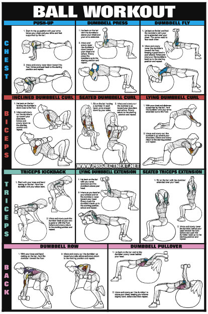 Ball Workout Chart 2 - Healthy Fitness Workout Body Chest Arms