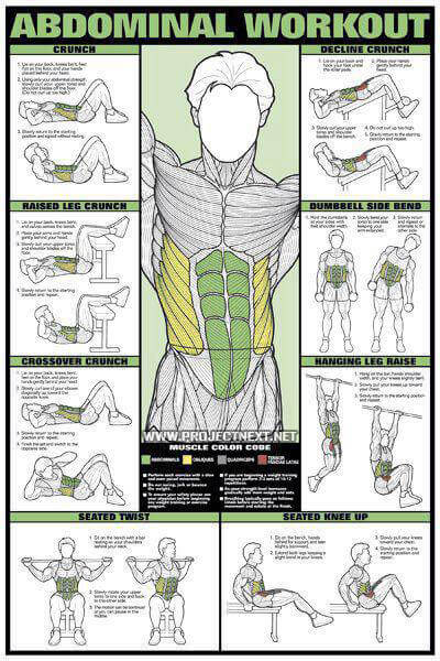 Abdominal Workout Chart - Healthy Fitness Training Sixpack Abs