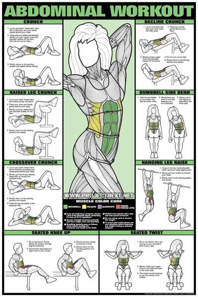 Abdominal Female Workout Chart - Fitness Sixpack Training Abs