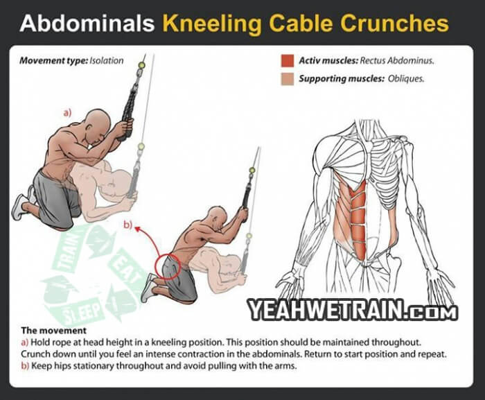 Sixpack Workout: Kneeling Cable Crunches - Healthy Fitness Tips