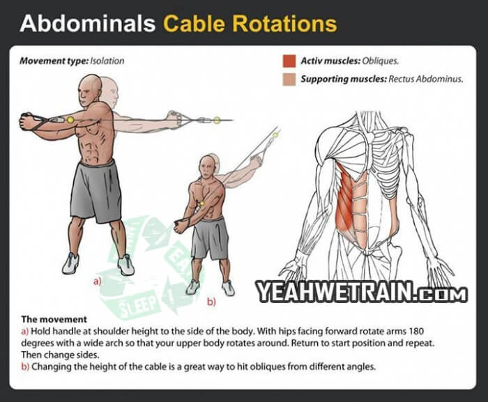 Sixpack Workout: Cable Rotations - Healthy Fitness Tips Tricks