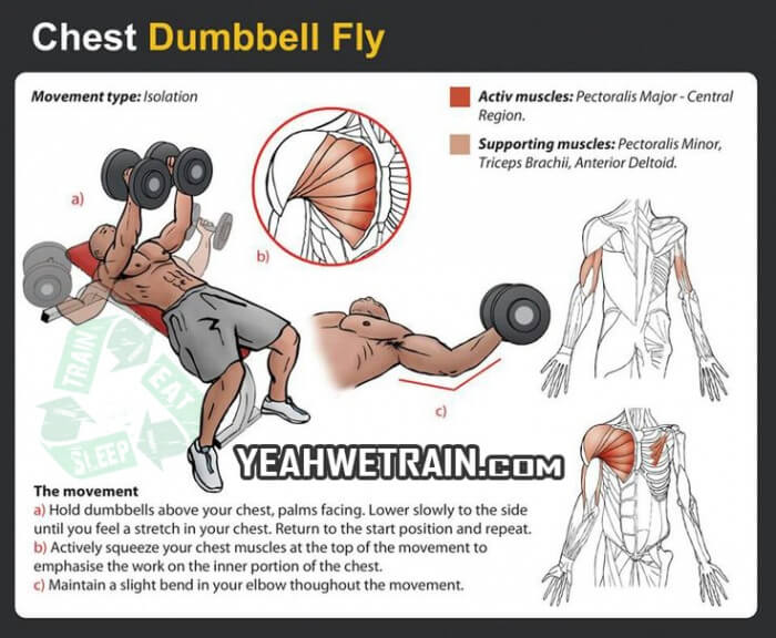 Chest Workout: Dumbbell Fly - Healthy Fitness Tips Tricks Arms