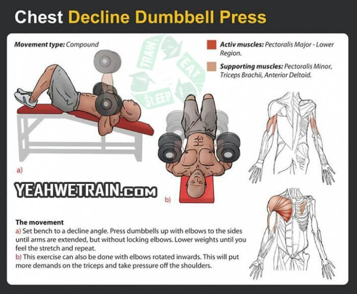 Chest Workout: Decline Dumbbell Press - Healthy Fitness Tips Abs