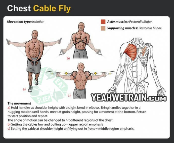 Chest Workout: Cable Fly - Healthy Fitness Tips Ab Shoulder Back