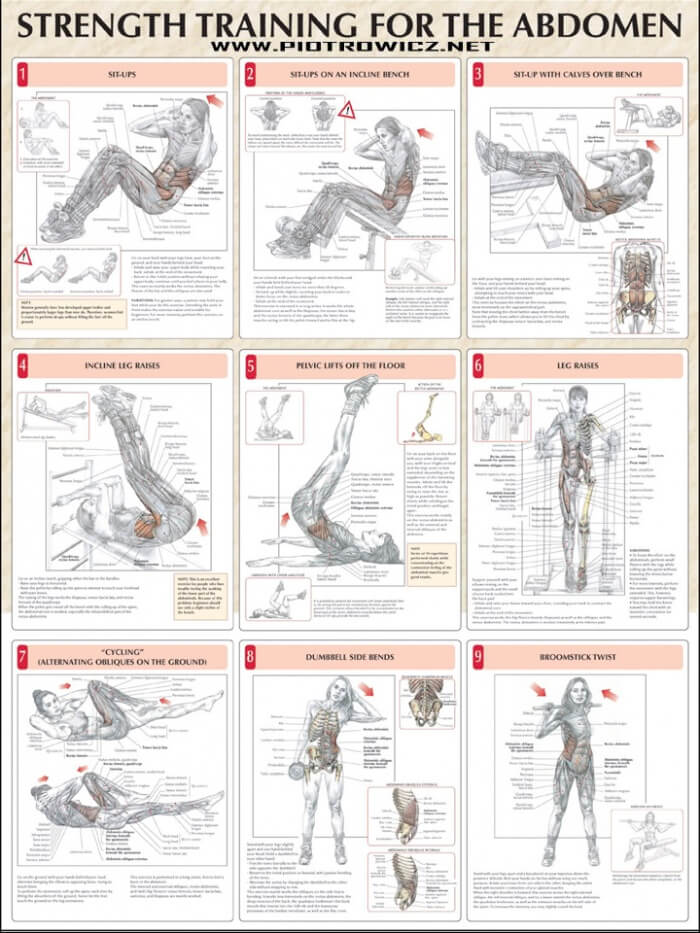 Strength Training For The Abdomen - Healthy Sixpack Abs Workout