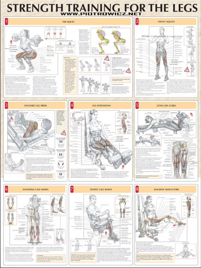 Strength Training For The Legs - Healthy Butt Leg Calves Workout