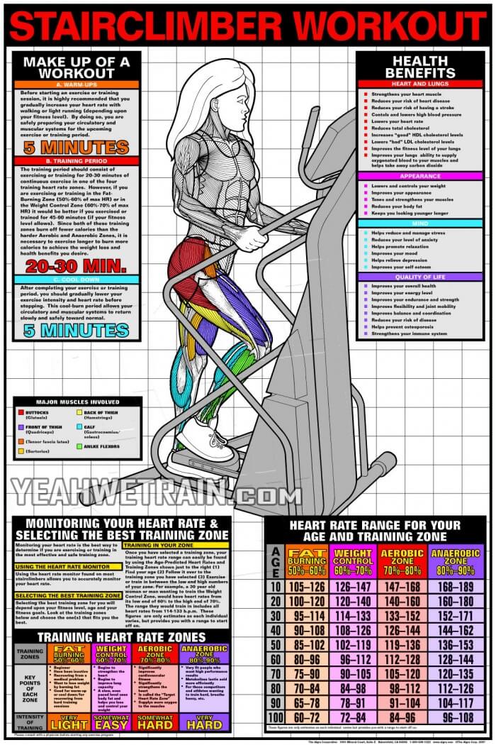 Stairclimber Workout - Best Cardio Fitness How To Get Plan Tips