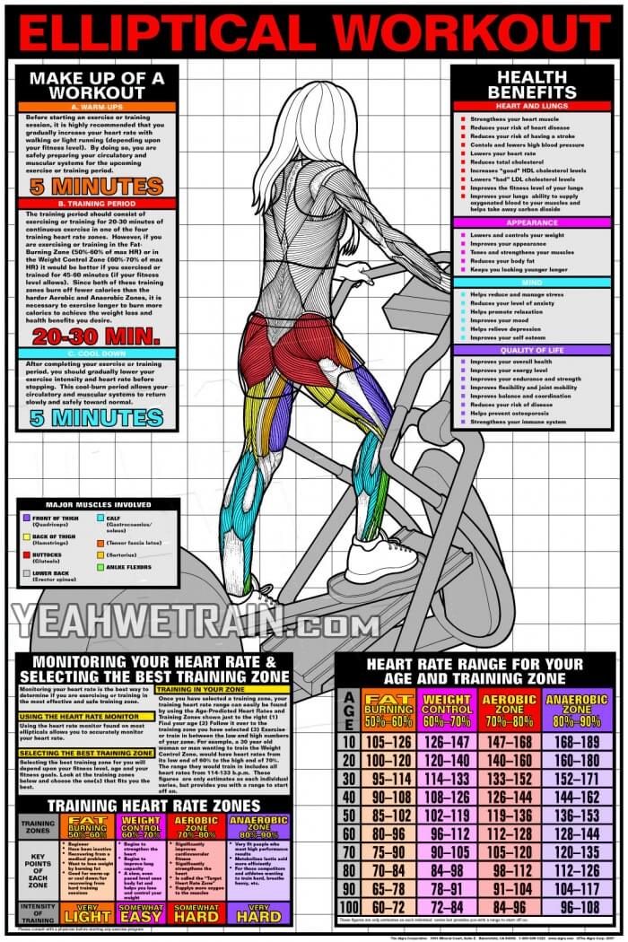 Elliptical Workout - Best Cardio Fitness How To Get Plan Tips Ab