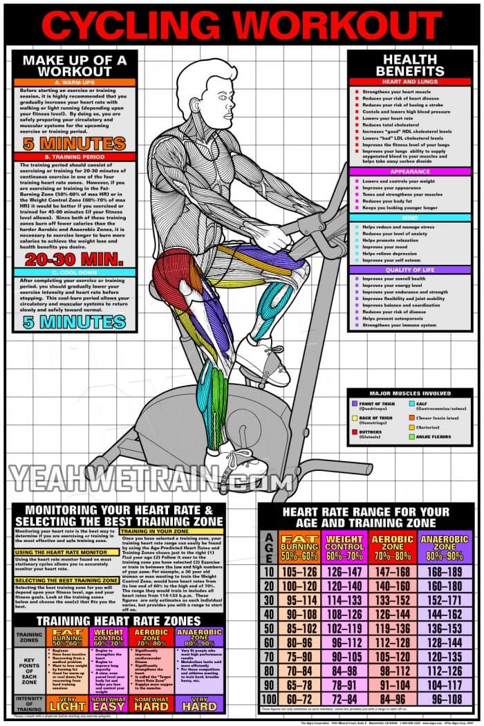 Cycling Workout - Best Cardio Fitness How To Get Plan Tips Abs