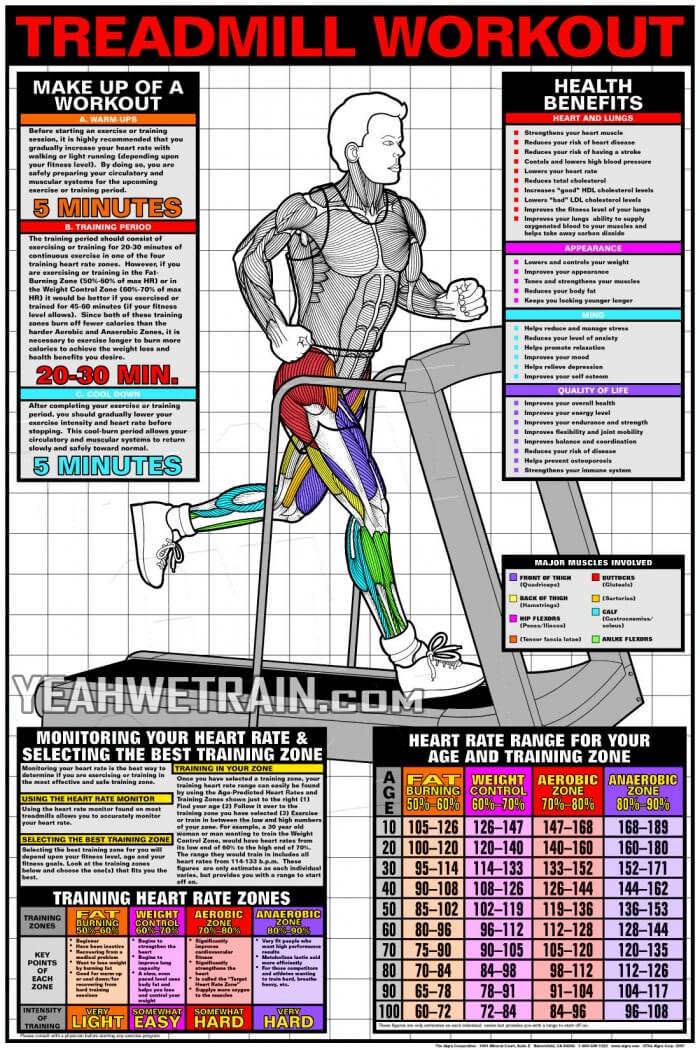 Treadmill Workout - Best Cardio Fitness How To Get Plan Tips Abs