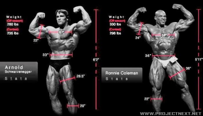 Arnold vs Colman - Best Motivational Posters At All Internet