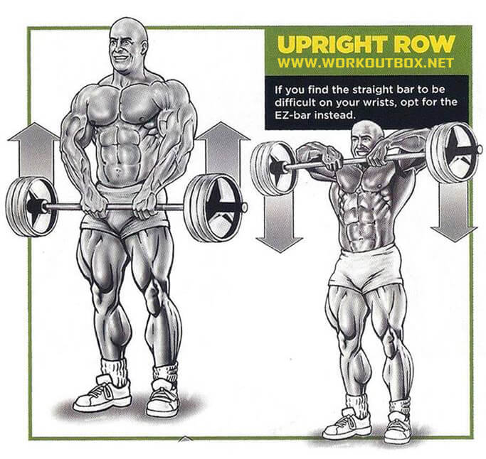 Upright Row - Fitness Shoulder Back Workout Routine Arms Lat Abs