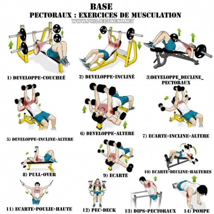 Basic Chest Training Routine - Healthy Fitness Workout Plan Arms