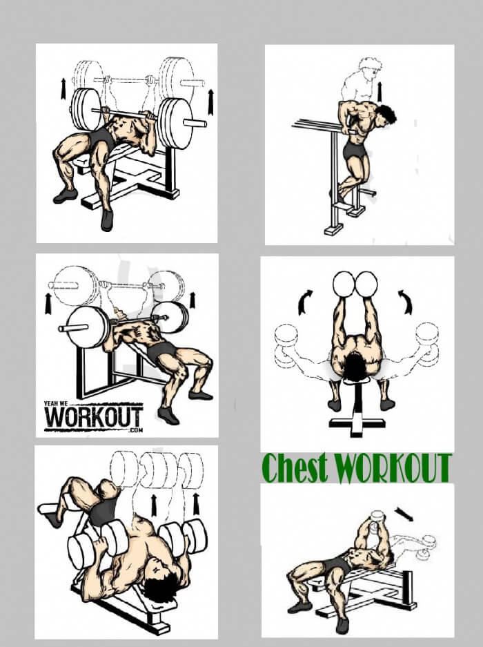 Top 6 Chest Exercises - Health Fitness Workout How To Train Plan