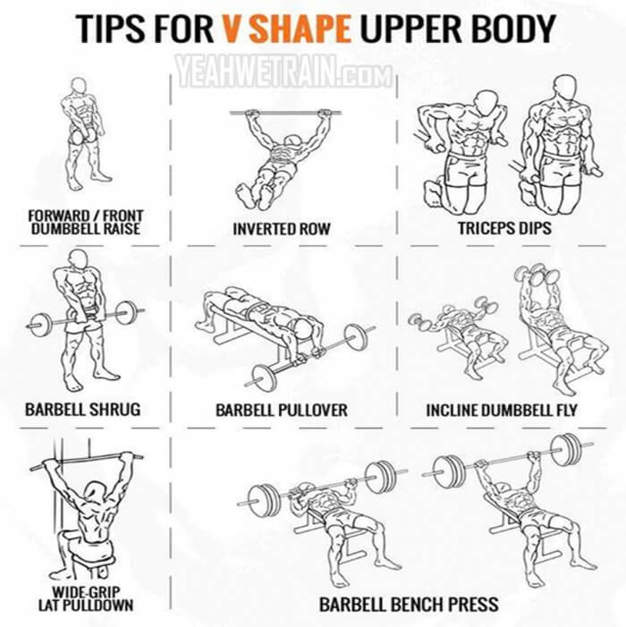 Tips For V Shape Upper Body - Amazing Fitness Workout Health Tip