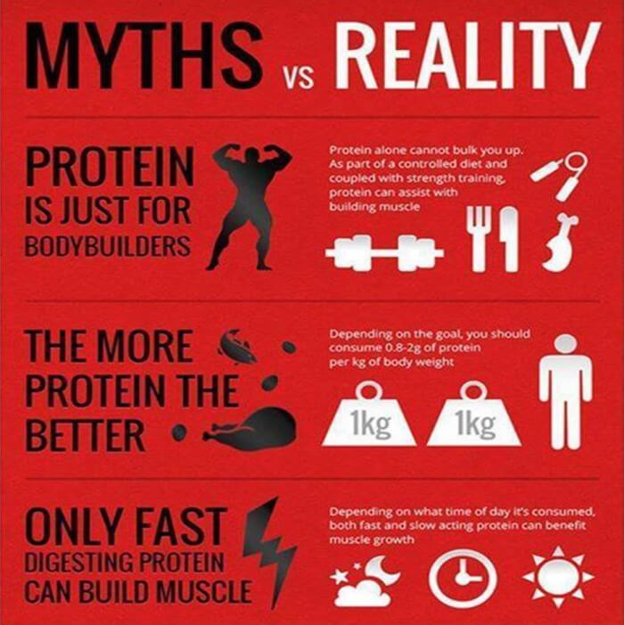 Myths VS Reality - Fitness Bodybuilding Tip Protein Build Muscle