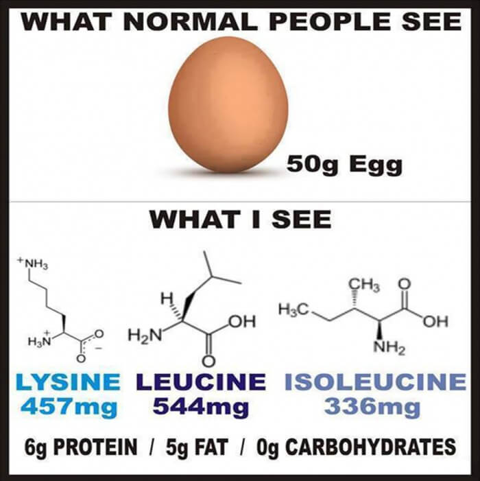 Egg - What Normal People See What I See Lysine Leucine Isoleuchi