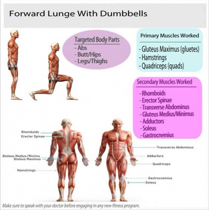 Forward Lunge With Dumbbells - Fitness Workout Plan Butt Legs Ab