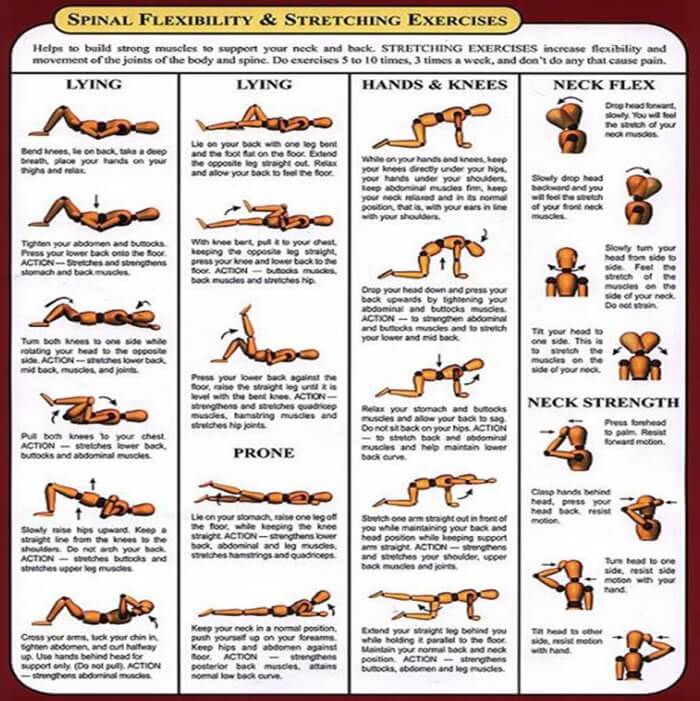 Spinal Flexibility & Stretching Exercises - Health Workout Plan